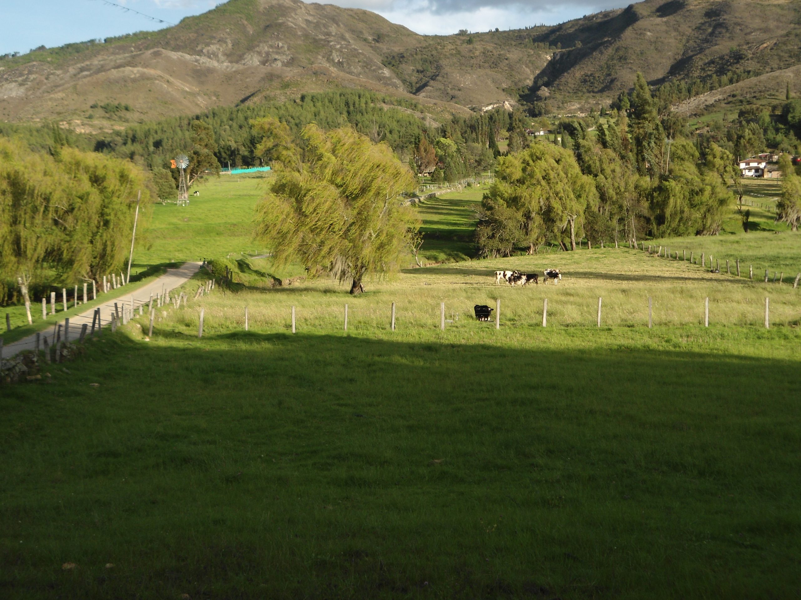 riegos-distrito (13)