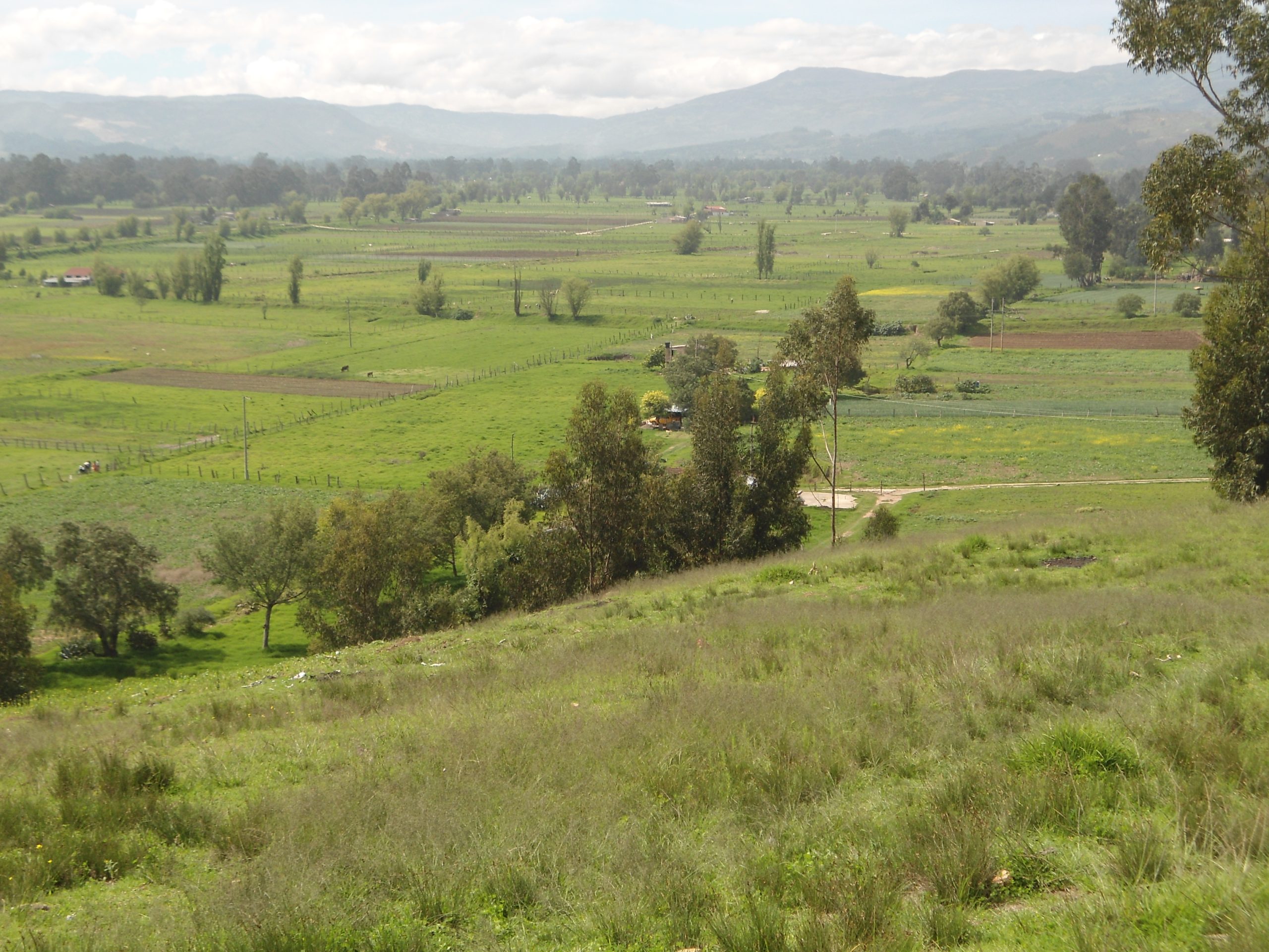 riegos-distrito (15)